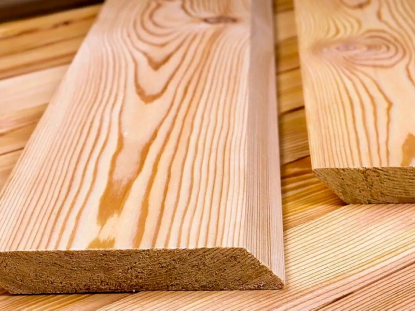 фото Лиственница